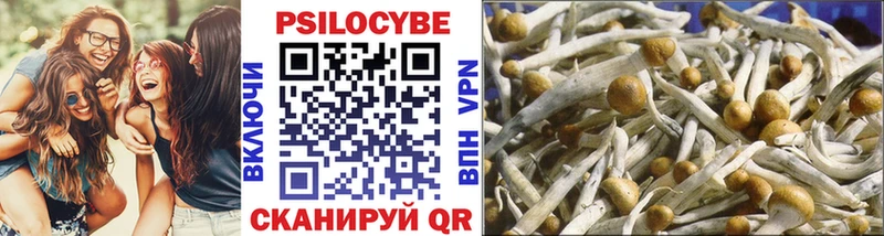 Галлюциногенные грибы Psilocybine cubensis  Великий Новгород 